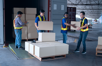 Logistics Expertise
